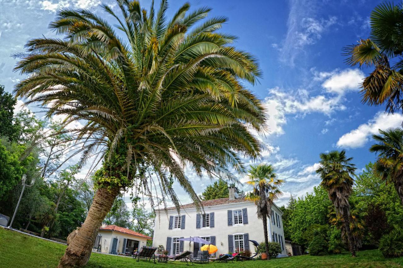 Maison Matachot Orthez Dış mekan fotoğraf